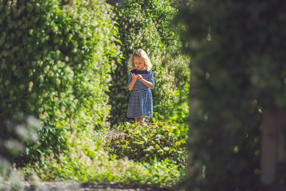 Tuscher Family Session20150926-D81_0429