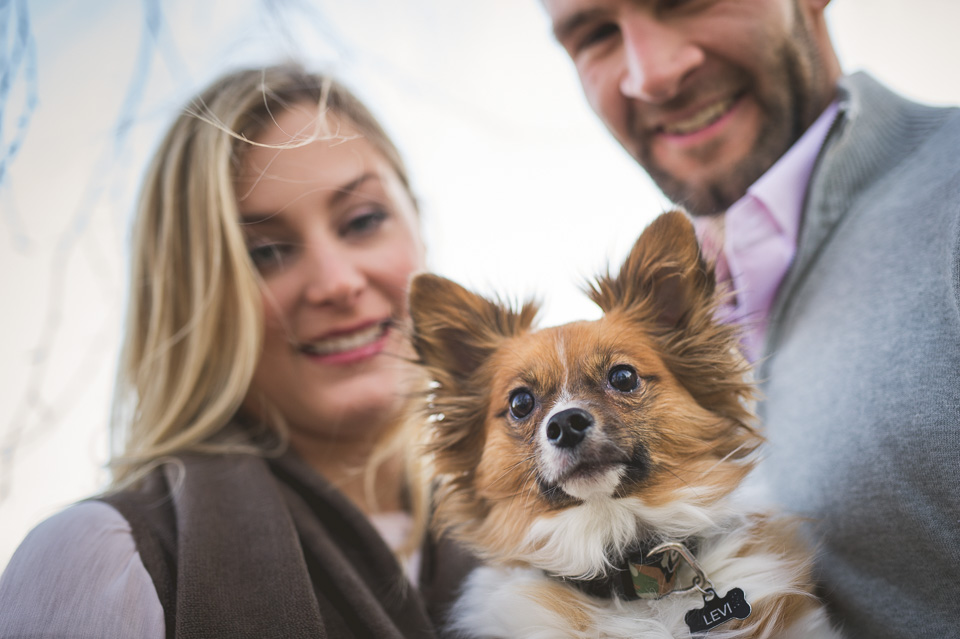 Jori and Shea Engagement Session20151115-D4E_8415